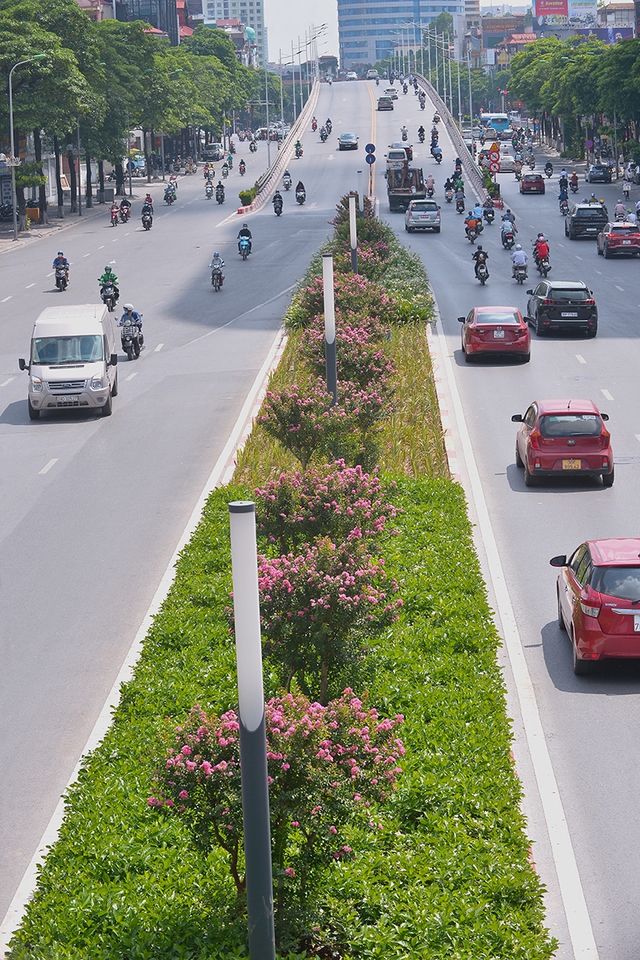 Khung cảnh tuyến đường Trần Duy Hưng - Nguyễn Chí Thanh giờ ra sao sau 1 tháng di dời hàng cây phong lá đỏ - Ảnh 7.