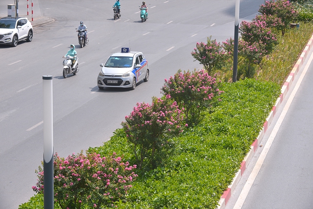 Khung cảnh tuyến đường Trần Duy Hưng - Nguyễn Chí Thanh giờ ra sao sau 1 tháng di dời hàng cây phong lá đỏ - Ảnh 11.
