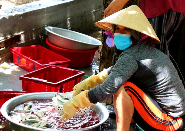 Ảnh: Người dân miền biển Thừa Thiên Huế xuyên trưa chế biến hàng tấn cá gửi vào TP. HCM  - Ảnh 8.
