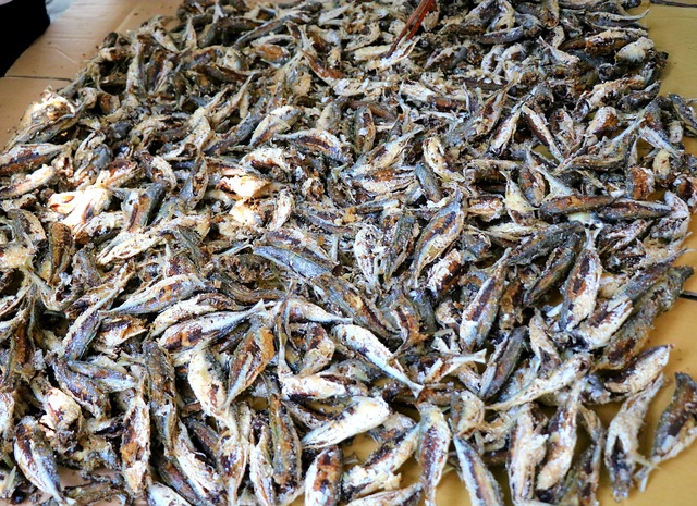 Ảnh: Người dân miền biển Thừa Thiên Huế xuyên trưa chế biến hàng tấn cá gửi vào TP. HCM  - Ảnh 9.