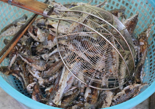 Ảnh: Người dân miền biển Thừa Thiên Huế xuyên trưa chế biến hàng tấn cá gửi vào TP. HCM  - Ảnh 18.