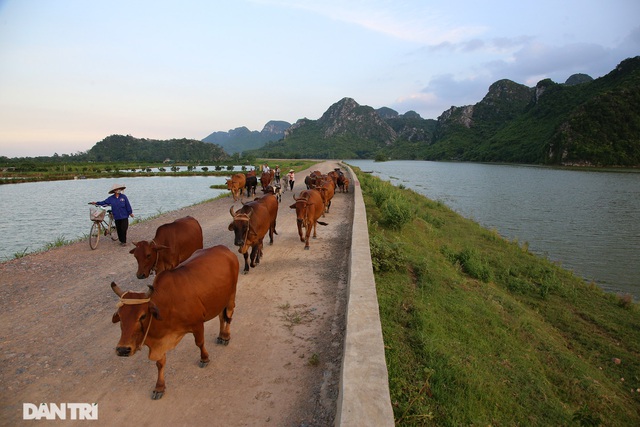 Bình yên những chiều quê ở ngoại thành Hà Nội - Ảnh 12.