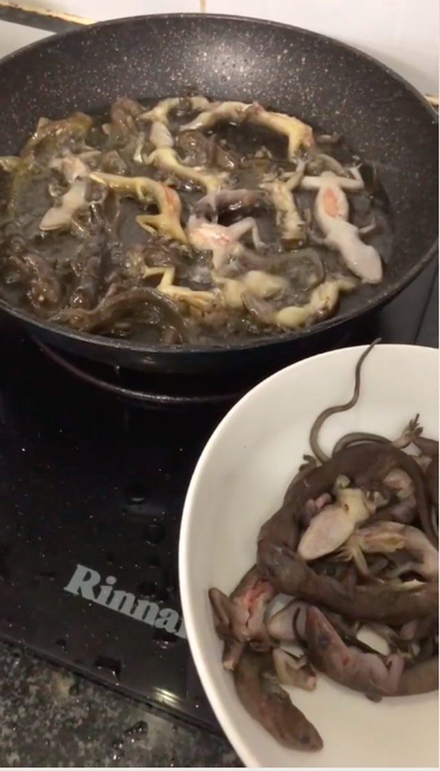 Đặc sản từ một lo&agrave;i vật kinh dị, bất ngờ l&agrave; hương vị lại thơm ngon - Ảnh 1.