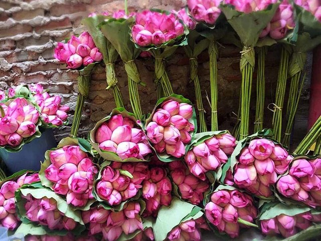 Đặc sản H&agrave; th&agrave;nh năm chỉ c&oacute; một m&ugrave;a, mua trăm b&ocirc;ng cất tủ d&ugrave;ng dần - Ảnh 3.