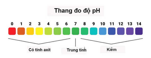 Dưỡng ẩm và làm hồng vùng nhạy cảm với dung dịch vệ sinh thế hệ mới - Ảnh 3.