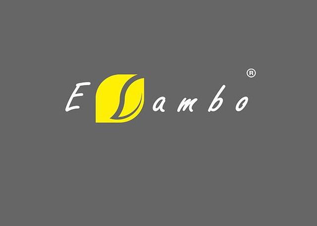 Elambo – ‘’ Một cái tên mới “ trong thị trường chăn ga gối hiện đại - Ảnh 1.