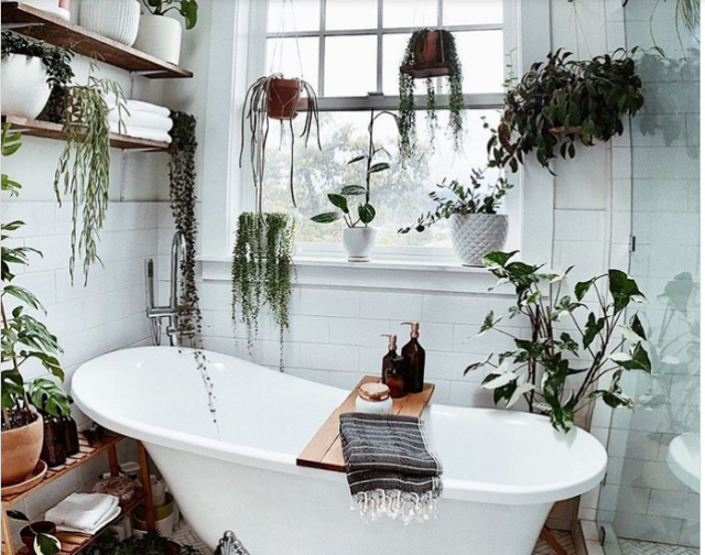 9 ý tưởng độc đáo tạo vườn treo xanh tươi, đẹp mắt trong phòng tắm nhỏ cho những ngày ở nhà giãn cách - Ảnh 7.