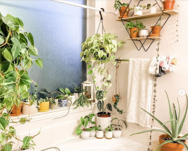 9 ý tưởng độc đáo tạo vườn treo xanh tươi, đẹp mắt trong phòng tắm nhỏ cho những ngày ở nhà giãn cách - Ảnh 3.