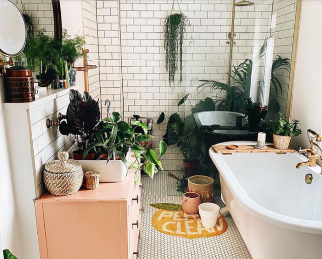 9 ý tưởng độc đáo tạo vườn treo xanh tươi, đẹp mắt trong phòng tắm nhỏ cho những ngày ở nhà giãn cách - Ảnh 6.