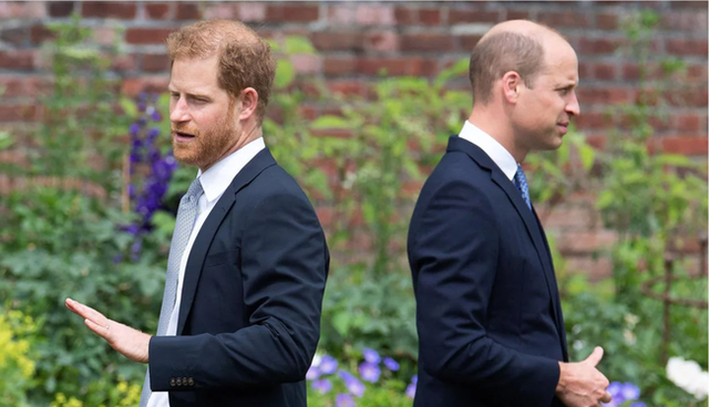 Harry về Mỹ với vợ con, truyền thông phân tích chi tiết chua chát của 2 hoàng tử trong lễ tưởng niệm Công nương Diana - Ảnh 4.