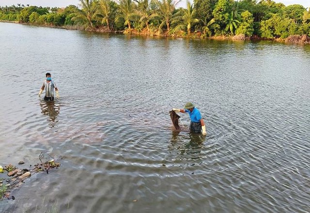 Hải Dương: Người dân Ninh Giang phát hiện thi thể nam giới tử vong trên sông Dầm - Ảnh 1.