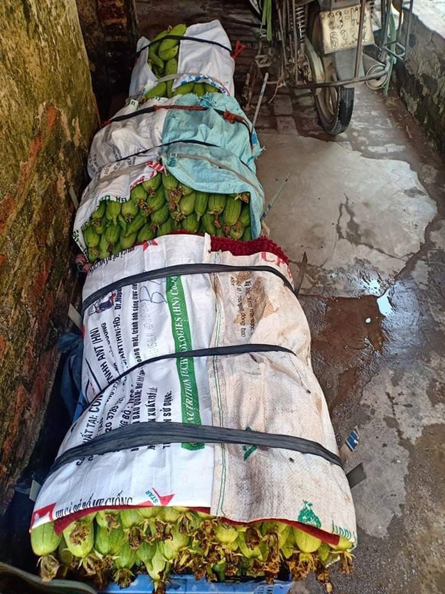 Không thể tiêu thụ nông sản vì dịch COVID-19, nông dân Hà Nội chấp nhận cắt lỗ, “đại hạ giá” chỉ từ 5.000 đồng/kg rau - Ảnh 5.