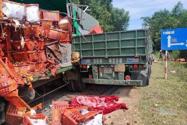 Xe tải chở hoa quả đối đầu container, một t&agrave;i xế tử vong - Ảnh 2.
