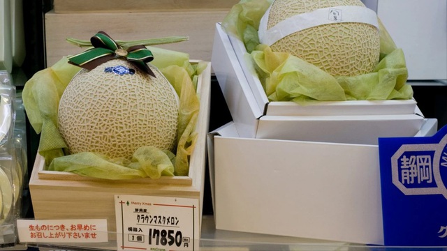 Rẻ như cho loại dưa hấu khổng lồ nặng tới 56kg, hương vị mới gây bất ngờ cho khách Việt - Ảnh 4.