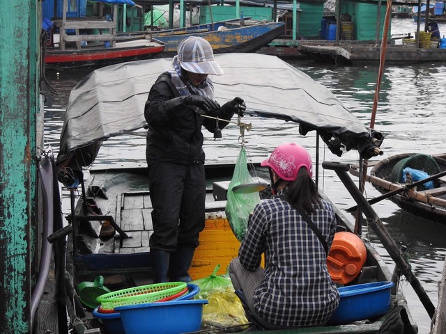 Quảng Ninh hỗ trợ người lao động gặp khó khăn trong dịch COVID-19, Hải Phòng hỗ trợ người dân của thành phố đang sống tại TP HCM - Ảnh 2.