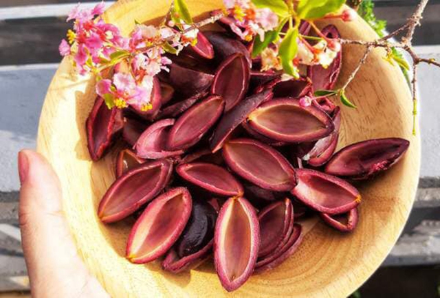 Trám nếp đen Cao Bằng vào mùa, giá rẻ chưa từng thấy - Ảnh 3.
