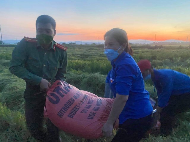 Đoàn viên thanh niên Hà Tĩnh vừa phòng dịch vừa giúp dân thu hoạch lúa - Ảnh 5.
