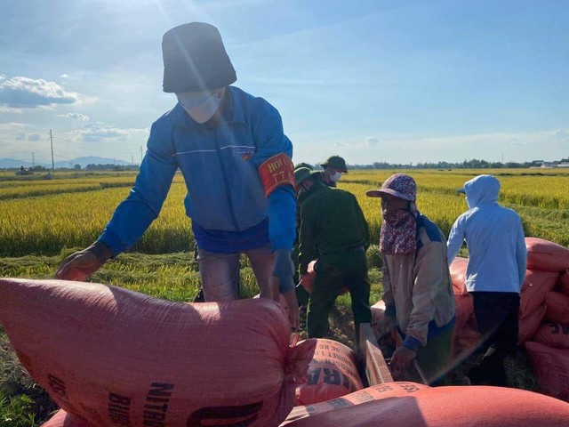 Đoàn viên thanh niên Hà Tĩnh vừa phòng dịch vừa giúp dân thu hoạch lúa - Ảnh 6.