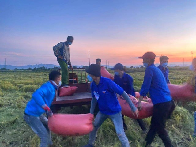 Đoàn viên thanh niên Hà Tĩnh vừa phòng dịch vừa giúp dân thu hoạch lúa - Ảnh 7.