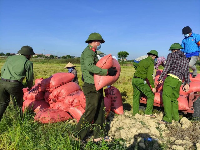 Đoàn viên thanh niên Hà Tĩnh vừa phòng dịch vừa giúp dân thu hoạch lúa - Ảnh 4.