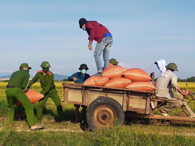 Đoàn viên thanh niên Hà Tĩnh vừa phòng dịch vừa giúp dân thu hoạch lúa - Ảnh 8.