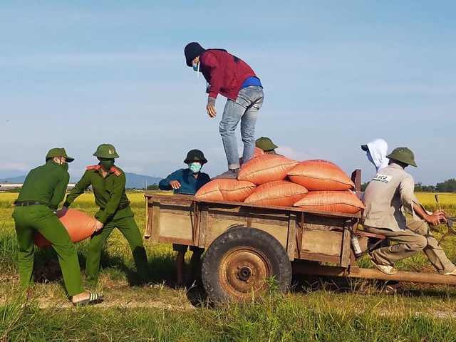 Đoàn viên thanh niên Hà Tĩnh vừa phòng dịch vừa giúp dân thu hoạch lúa - Ảnh 10.