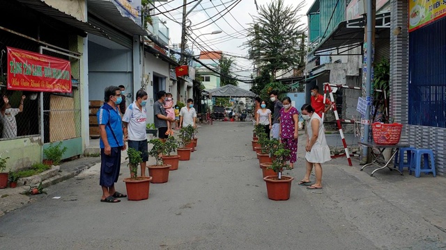 Số nhận những c&acirc;y t&aacute;o từng được trồng trong khu phong tỏa ở TP.HCM c&aacute;ch đ&acirc;y gần 3 th&aacute;ng hiện ra sao? - Ảnh 2.