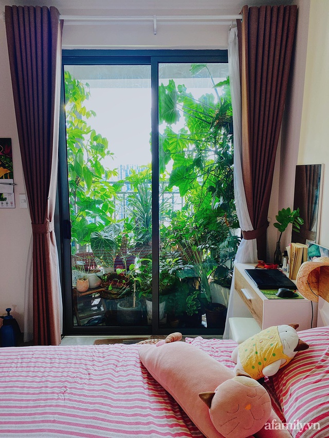 Căn hộ trên tầng cao xanh mát ấn tượng với đủ loại cây nhiệt đới của chàng trai Sài Gòn - Ảnh 9.