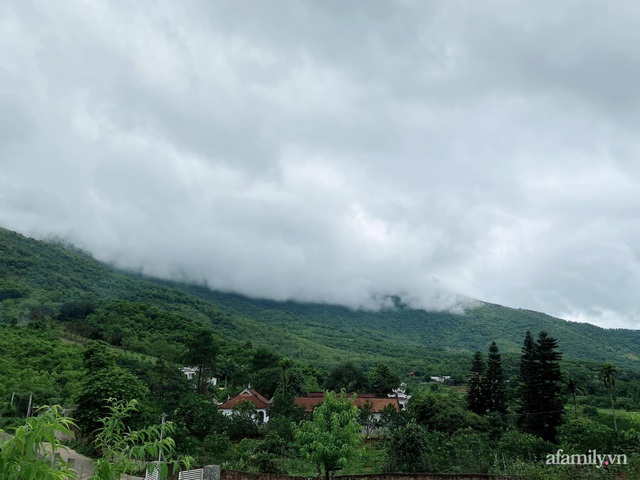 Căn nhà vườn đẹp an yên, tĩnh lặng ở ngoại thành Hà Nội - Ảnh 6.