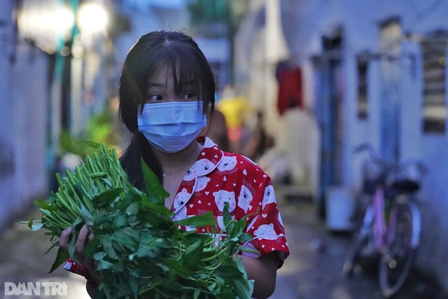 Hàng nghìn bó rau nghĩa tình gửi tặng người dân vùng dịch ở TPHCM - Ảnh 14.