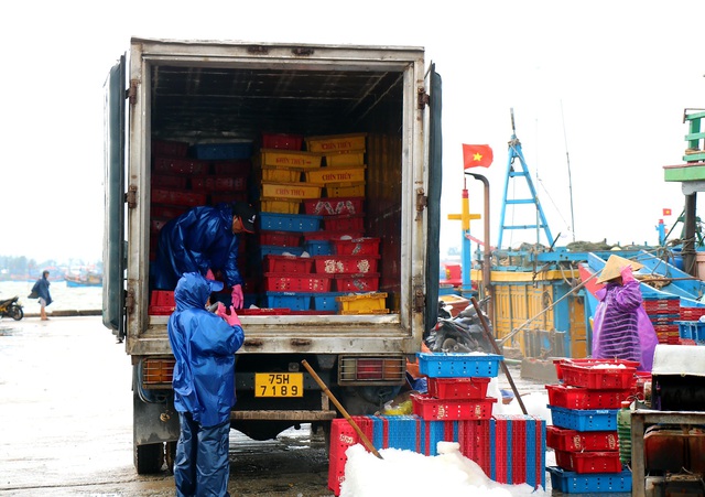 Ngư dân Thừa Thiên Huế kịp thu mẻ cá lớn, khẩn trương neo đậu tàu thuyền ứng phó với bão số 5 Conson - Ảnh 7.