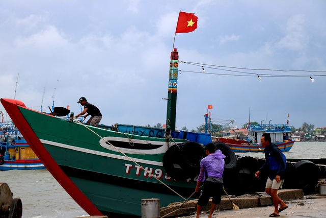 Ngư dân Thừa Thiên Huế kịp thu mẻ cá lớn, khẩn trương neo đậu tàu thuyền ứng phó với bão số 5 Conson - Ảnh 5.