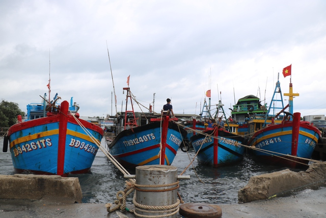 Ngư dân Thừa Thiên Huế kịp thu mẻ cá lớn, khẩn trương neo đậu tàu thuyền ứng phó với bão số 5 Conson - Ảnh 3.