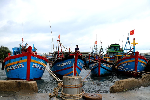 Ngư dân Thừa Thiên Huế kịp thu mẻ cá lớn, khẩn trương neo đậu tàu thuyền ứng phó với bão số 5 Conson - Ảnh 10.