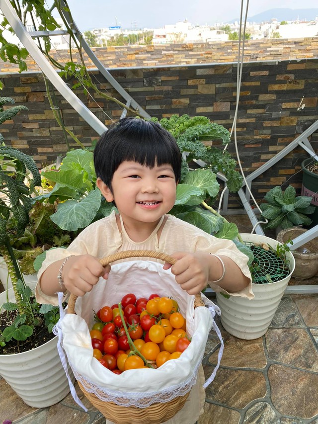 Mẹ đảm Đà Nẵng chia sẻ bí quyết vàng trồng rau quả theo mùa trên sân thượng, quanh năm năng suất trái sai trĩu cành - Ảnh 20.