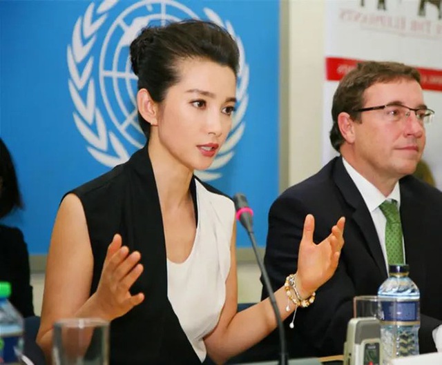 37 tuổi mới học tiếng Anh, nhưng mỹ nhân Hoa ngữ này vẫn xuất sắc đứng phát biểu tại cuộc họp của Liên Hợp quốc - Ảnh 5.