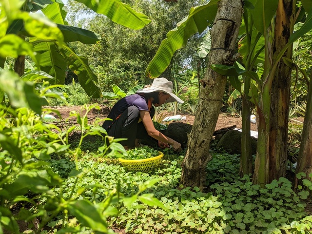 Chồng đưa cả gia đình về quê, dựng nhà, giúp vợ chữa ung thư - Ảnh 8.