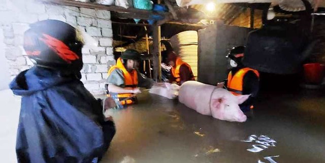 Nghệ An: Mưa lớn khiến nhiều địa phương bị thiệt hại, chia cắt - Ảnh 4.