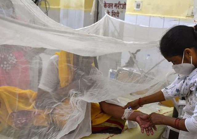 Đã xác định chân tướng virus bí ẩn giết chết hàng chục trẻ em ở Ấn Độ: Hung thủ không hề xa lạ - Ảnh 1.