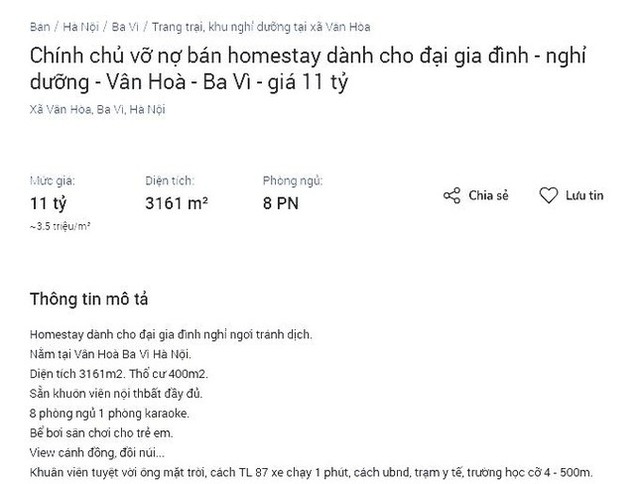 Hàng loạt homestay rao bán vì kiệt sức do dịch kéo dài - Ảnh 2.