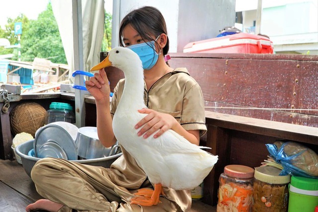  Chú vịt thông minh chỉ ăn thức ăn người nhà cho, không ăn của người lạ  - Ảnh 1.