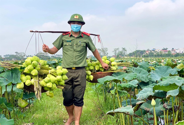 Ba ngày lội bùn hái 18.000 bông hoa, công an giải cứu đầm sen 20 mẫu - Ảnh 6.