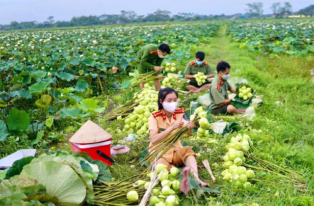 Ba ngày lội bùn hái 18.000 bông hoa, công an giải cứu đầm sen 20 mẫu - Ảnh 7.