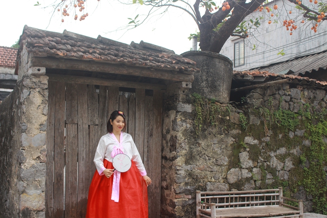 Tranh thủ thời gian nghỉ cuối tuần, chị Hiền ghé thăm cây hồng trăm tuổi và check-in cùng trang phục Hanbok.