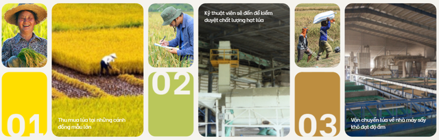 3 loại gạo đặc trưng được các bà nội trợ ưa chuộng Tết 2022 - Ảnh 4.