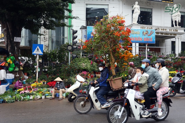Phố phường Hà Nội ngập tràn không khí Tết - Ảnh 11.
