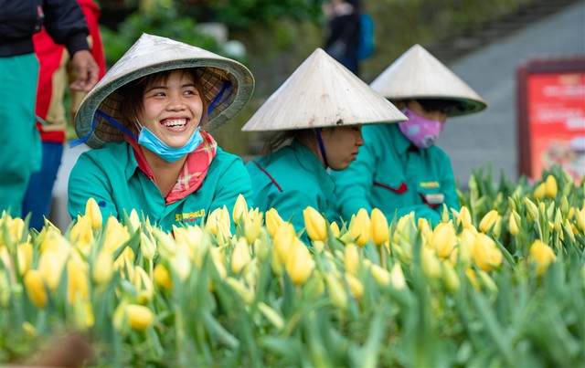 Sun Group và hành trình vượt qua &quot;giông bão&quot; - Ảnh 1.