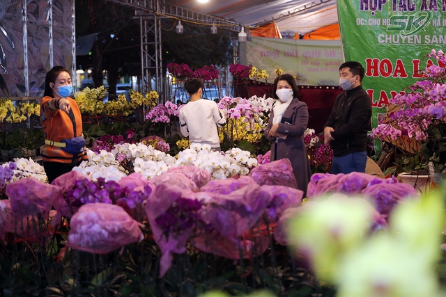 Lan hồ điệp xuống phố ngày cận Tết, giá hơn trăm triệu/chậu vẫn đắt hàng - Ảnh 4.