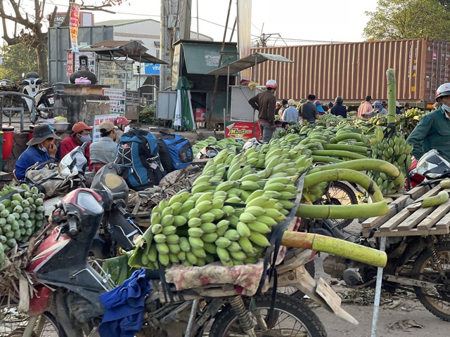 Chùm ảnh: &quot;Thủ phủ&quot; chuối lớn nhất Quảng Trị nhộn nhịp những ngày giáp Tết - Ảnh 2.