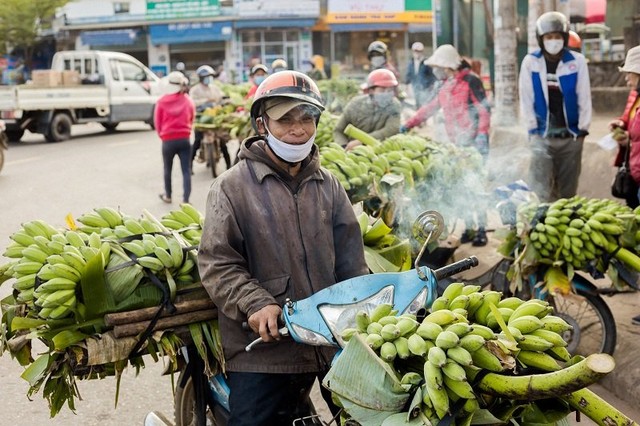 Chùm ảnh: &quot;Thủ phủ&quot; chuối lớn nhất Quảng Trị nhộn nhịp những ngày giáp Tết - Ảnh 4.